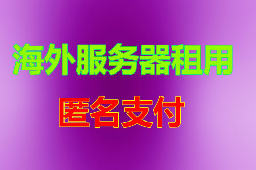 越南网络 CN2 BGP